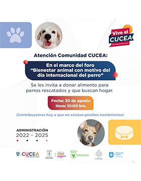 Foro: Bienestar animal con motivo del Día Internacional del Perro