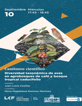 Cartel del Cantinero científico: Diversidad taxonómica de aves en agrobosques de café y bosque tropical caducifolio
