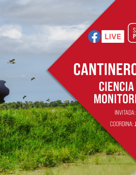 Cantinero científico Título: Ciencia ciudadana: el monitoreo de las aves