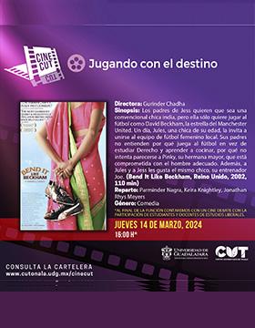 Cartel del Ciclo de cine: Mujeres desafiando esquemas