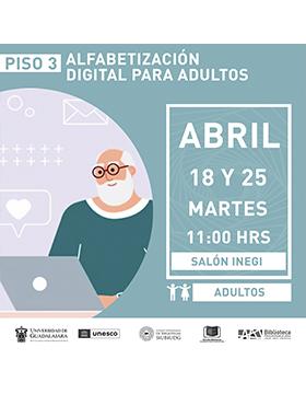 Grafico del Taller de Alfabetización Digital para Adultos