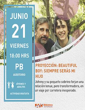 Proyección: Beautiful boy: siempre serás mi hijo