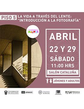 Grafico de la La vida a través del lente: Introducción a la fotografía