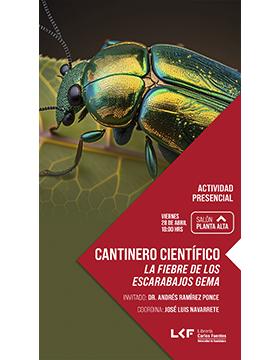 Grafico del Cantinero científico. Título: La fiebre de los escarabajos gema