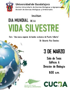 Foro: Una nueva especie de bambú exclusiva de Puerto Vallarta