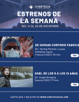 Cartel de los estrenos de la Cineteca FICG
