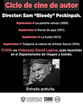 Cartel del Ciclo de cine de autor