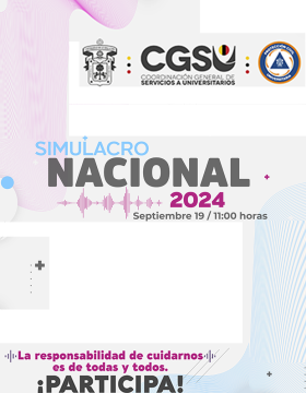 Cartel del Simulacro Nacional 2024
