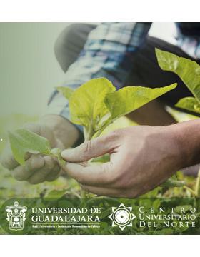 Conferencia en conmemoración al Día Mundial de la Alimentación