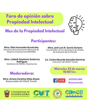 Foro de opinión sobre Propiedad Intelectual