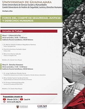 Foros del Comité de Seguridad, Justicia y Derechos Humanos