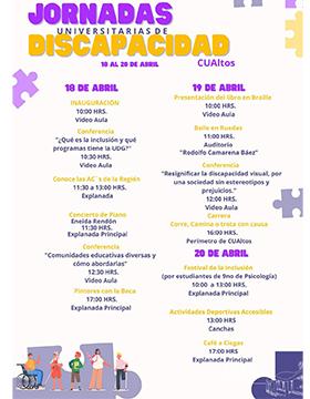 Grafico de las Jornadas Universitarias de Discapacidad