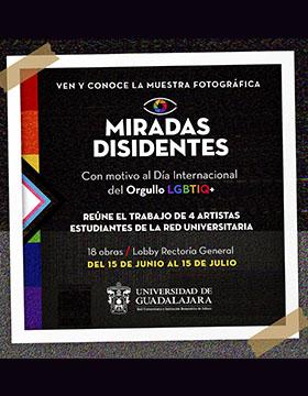 Muestra fotográfica: Miradas Disidentes