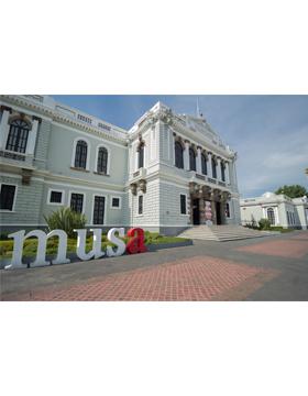 Actividades de verano en el MUSA