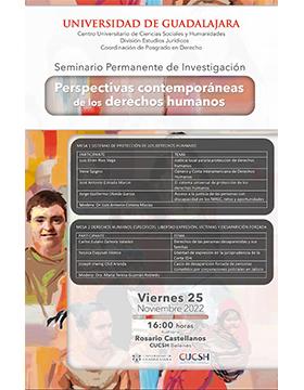 Seminario Permanente de Investigación: Perspectivas contemporáneas de los derechos humanos