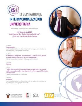 Cartel del IX Seminario de Internacionalización Universitaria.