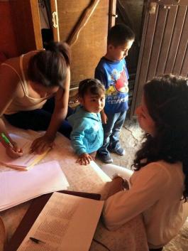 Investigación en la Rivera de Chapala pesticidas en mujeres embarazadas.