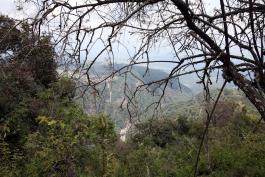Ante el latente riesgo de explosividad en el Volcán Colima la UdeG realiza monitoreo permanente junto a la Universidad de Colima y Protección Civil.
