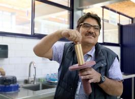 Termita, problema serio que crece en México