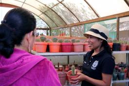 Aumenta número de estudiantes indígenas en UdeG