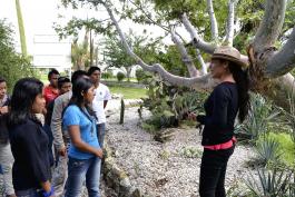 Aumenta número de estudiantes indígenas en UdeG