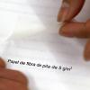 Analizan potencial de la Pita en el rescate de documentos antiguos