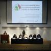 Panel de Expertos, TLCS y TLCAN