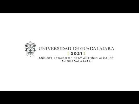 Video de la Rueda de Prensa