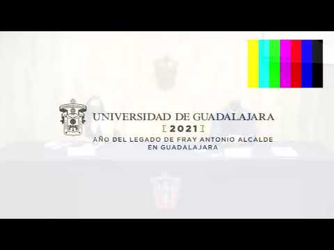 Video de la Rueda de Prensa